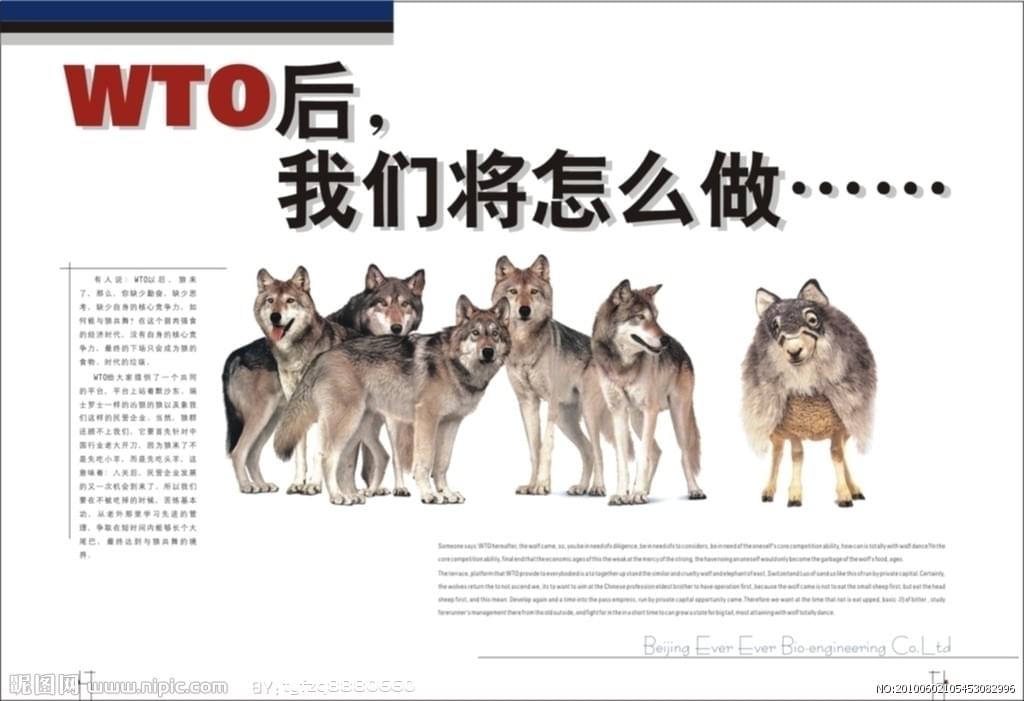 wto后,中国钢铁往哪儿走.jpg